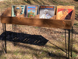 Rustic Vinyl Record Storage and Display Stand