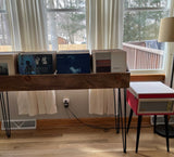Rustic Vinyl Record Storage and Display Stand